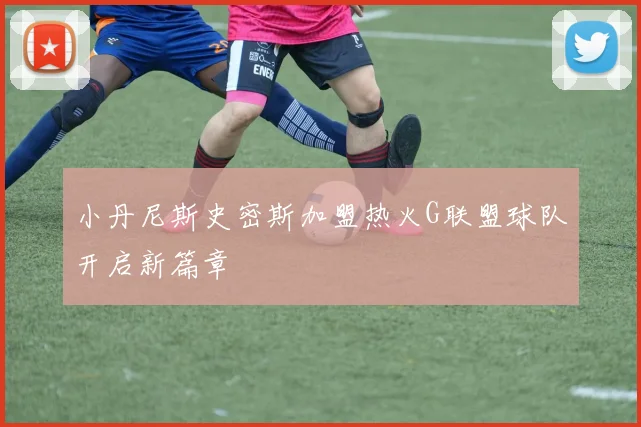 小丹尼斯史密斯加盟热火G联盟球队开启新篇章